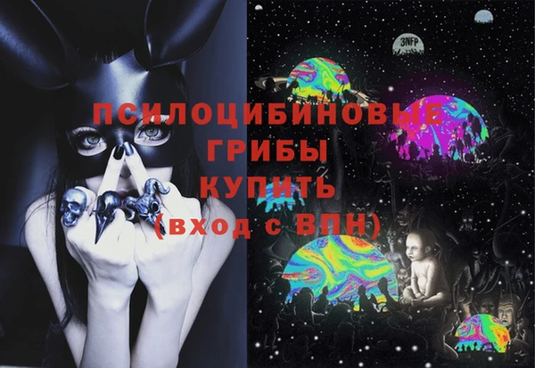не бодяженный Ельня