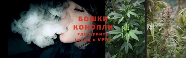 не бодяженный Ельня