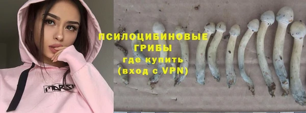 скорость Елизово