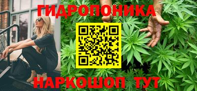 прущие крисы Кандалакша