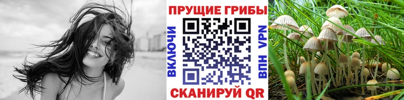 купить наркотики цена  Свободный  Галлюциногенные грибы ЛСД 
